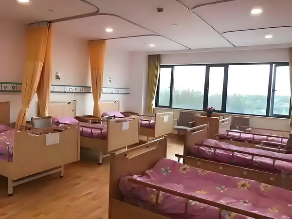研究生可以是深圳户口吗_《风骚律师》主演想暴打马里奥：把他的胡子撕下来 可以砍掉这个资就了工位和工